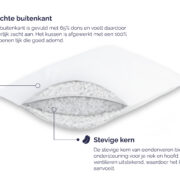 driekamer-eendendons-premium