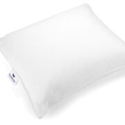 driekamer eendendons premium kussen schaduw