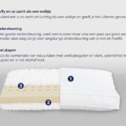 dons-natuurlatex-kussen-doorsnee