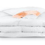 Vandyck-excellent-solo