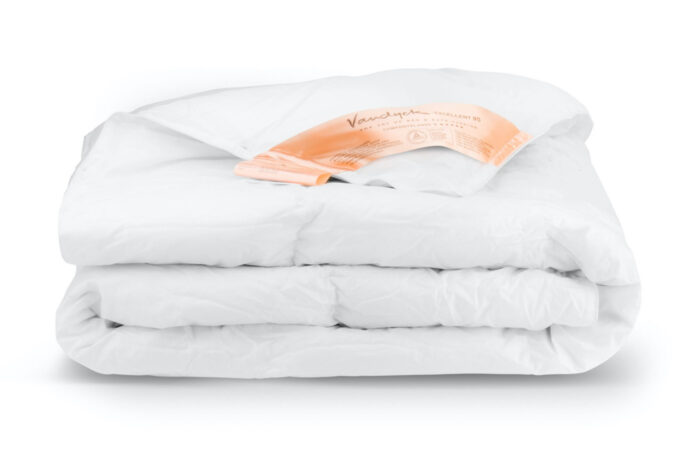 Vandyck-excellent-solo