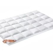 vandyck-excellent-solo-vakken